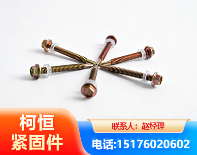 阿勒泰六角钻尾丝